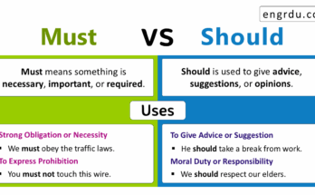 Must vs Should: Know the Differences with Examples