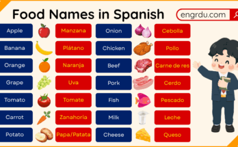 Food Names in Spanish with English and Their Images