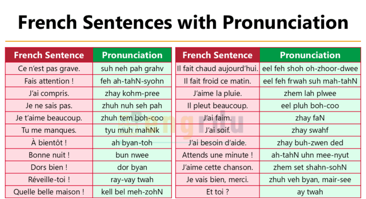 French Sentences with English Meanings