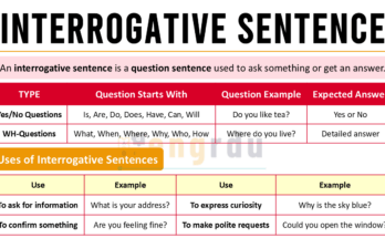 Interrogative Sentences in English