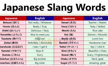 Japanese Slang Words with Meanings