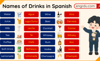 Names of Drinks in Spanish with English