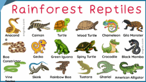 40+ Shapes Names for Kids in English with Pictures - Engrdu