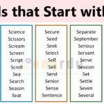 1000+ Words that Start with S