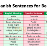 Spanish Sentences with Meanings and PDF