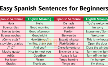 Spanish Sentences with Meanings and PDF