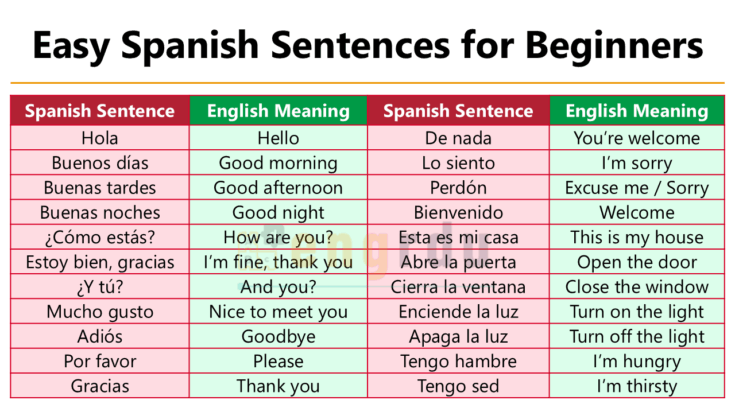 Spanish Sentences with Meanings and PDF