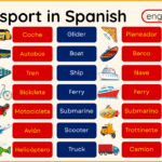 Transport Names in Spanish