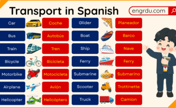 Transport Names in Spanish