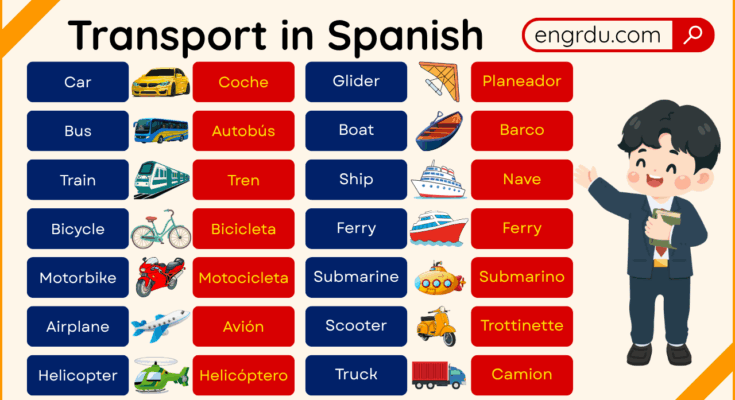 Transport Names in Spanish