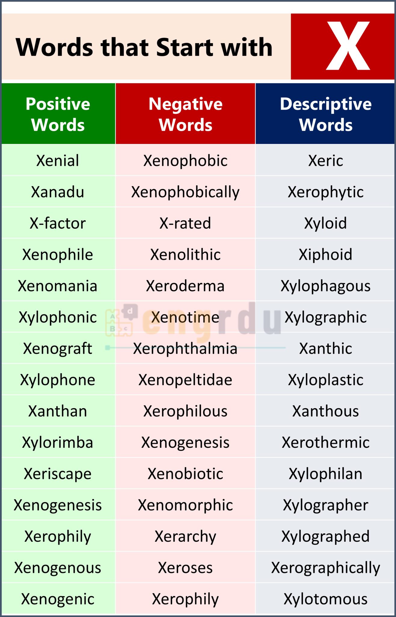 350+ Words that Start with X | X-Words List in English