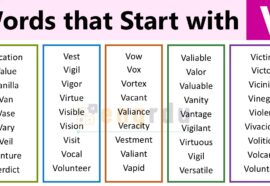 500+ Words that Start with V