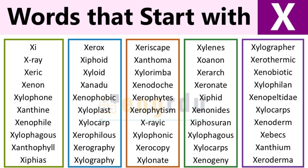 List of Words that Start with X