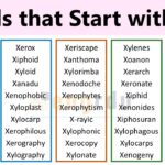 List of Words that Start with X
