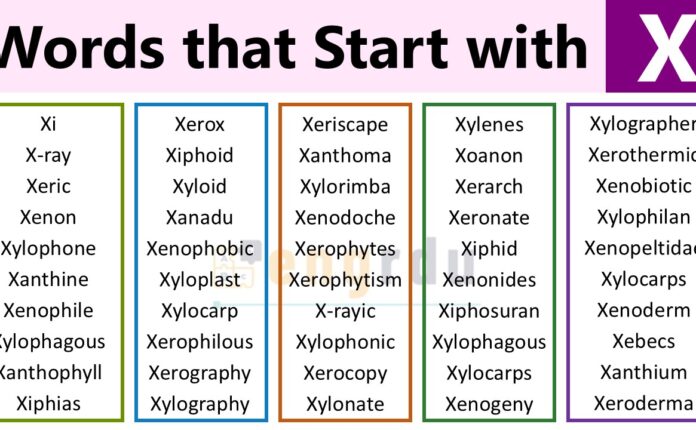 List of Words that Start with X