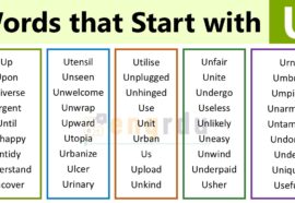 1000+ Words that Start with U