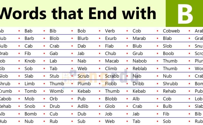 Words that Ending in B