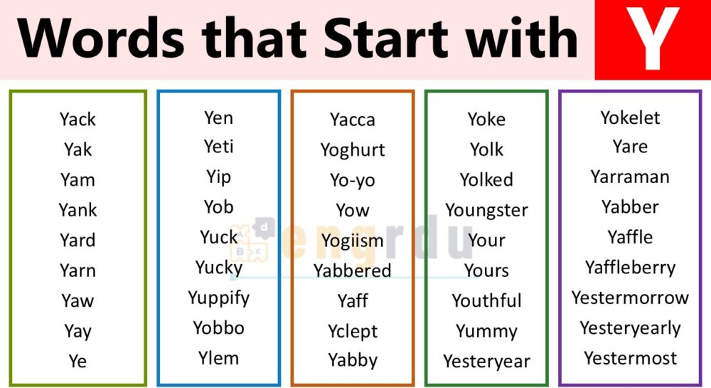 1000+ Words that Start with Y