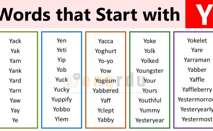 1000+ Words that Start with Y