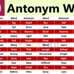 100 Antonym Words with PDF