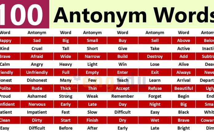 100 Antonym Words with PDF