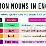 Common Nouns Definition and Examples