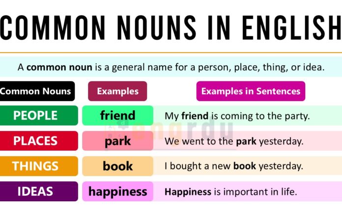 Common Nouns Definition and Examples