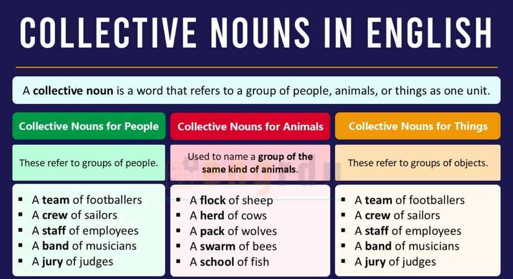 Collective Nouns Definition and Examples