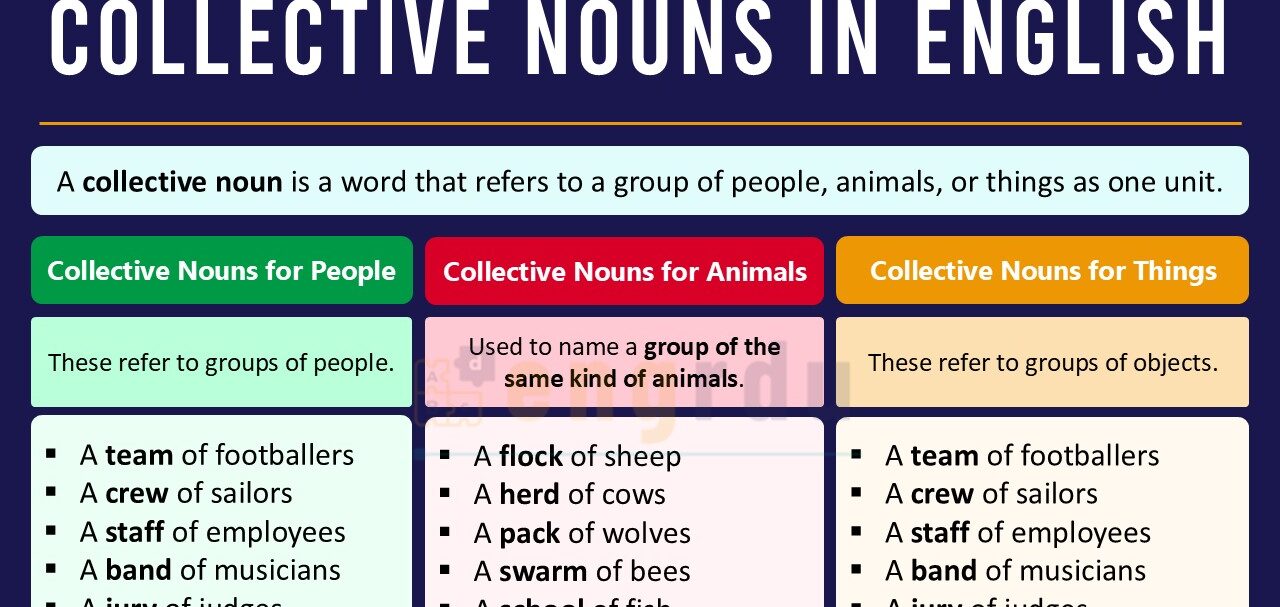 Collective Nouns Definition and Examples