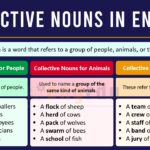 Collective Nouns Definition and Examples