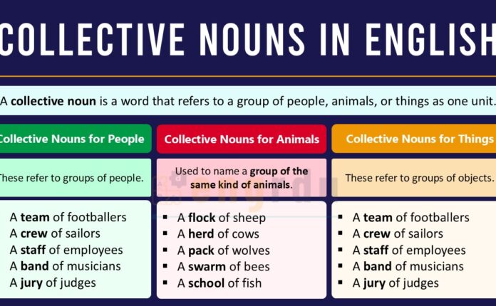 Collective Nouns Definition and Examples