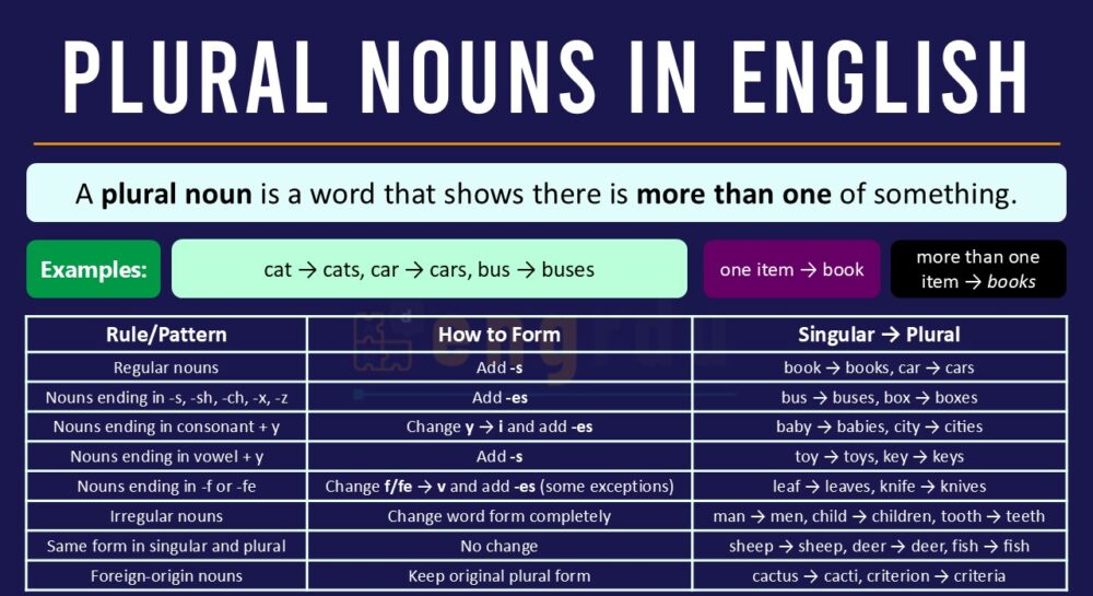 Plural Nouns Definition and Examples