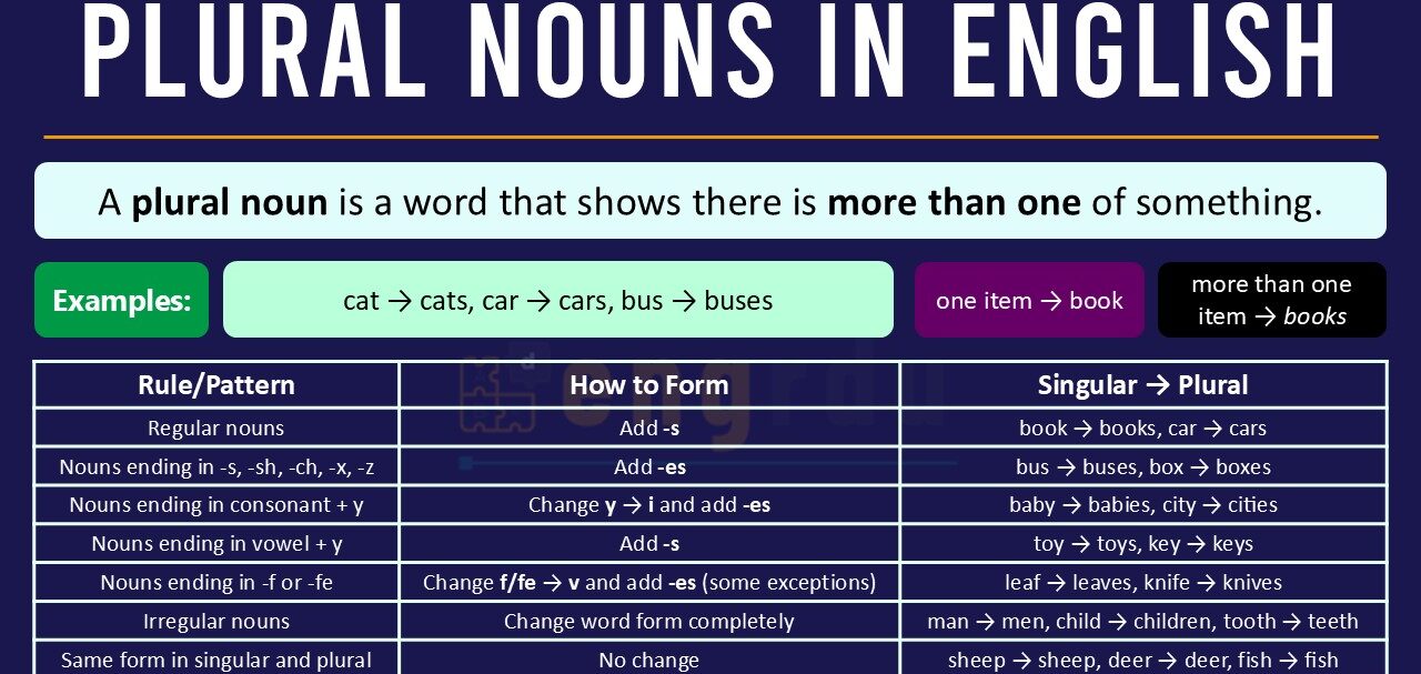 Plural Nouns Definition and Examples
