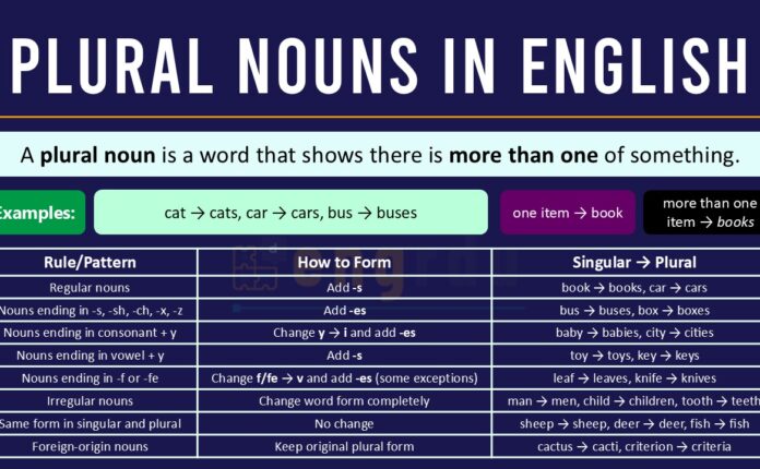Plural Nouns Definition and Examples