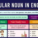Singular Noun: Definition, Uses, and Examples
