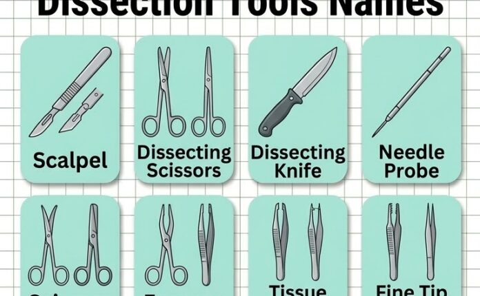 Dissection Tools Names in English with Uses and Pictures