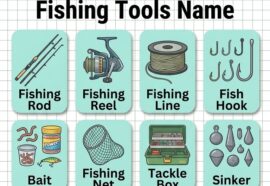 Fishing Tools Name List with Pictures