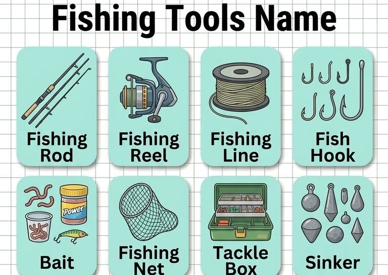Fishing Tools Name List with Pictures