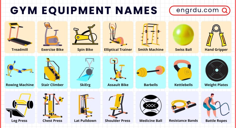 Gym Equipment Names in English
