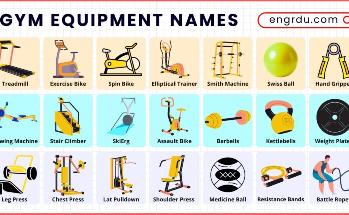 Gym Equipment Names in English