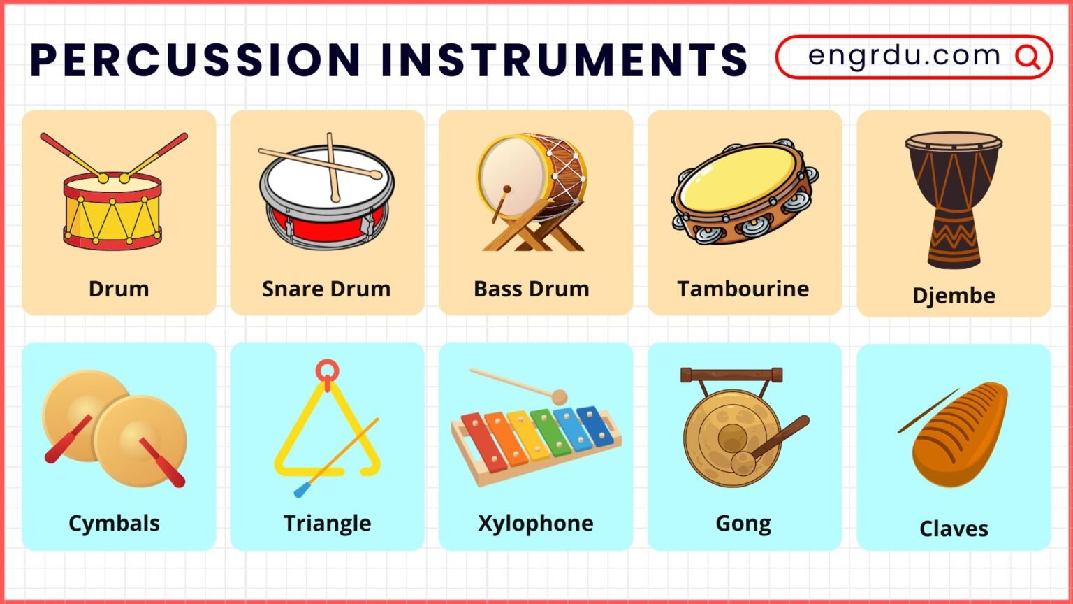 Percussion Instruments Names and Uses with Pictures - Engrdu