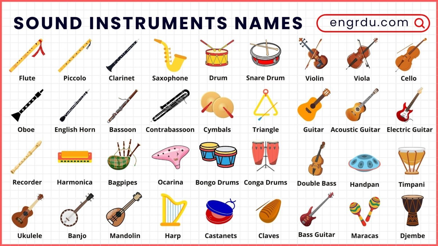 Percussion Instruments Names and Uses with Pictures - Engrdu