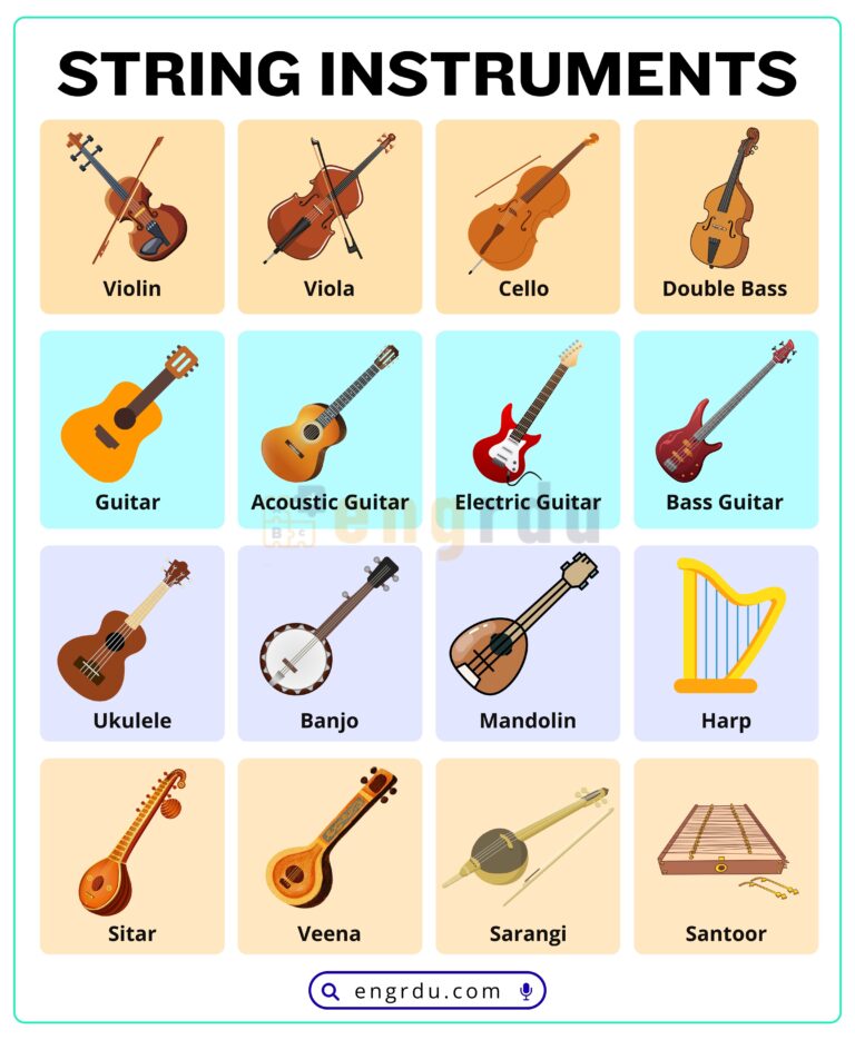 String Instruments Names in English with Pictures - Engrdu