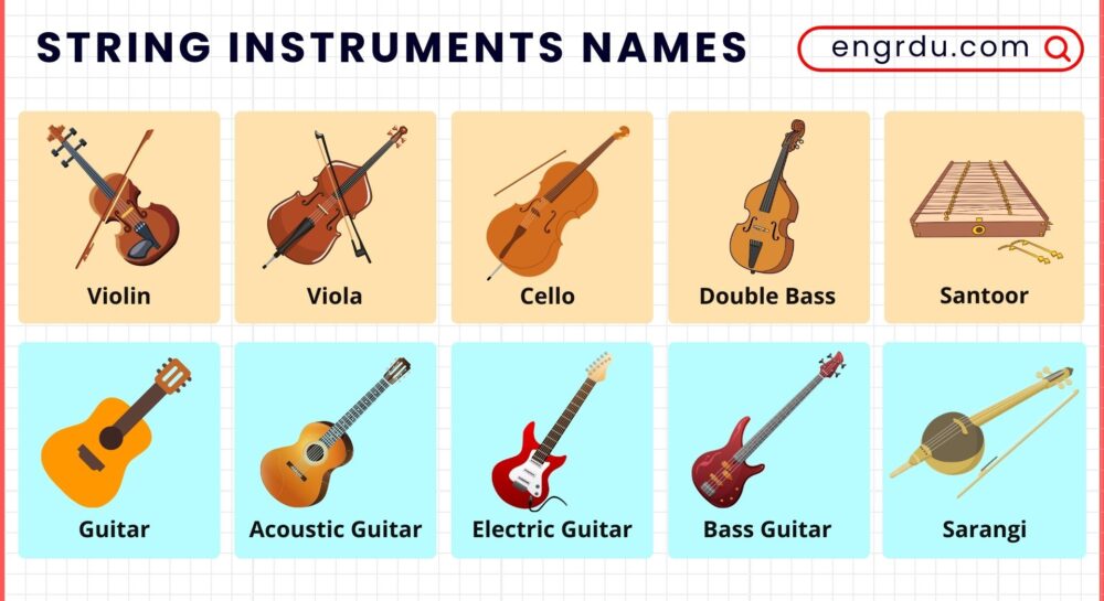 String Instruments Names with Pictures