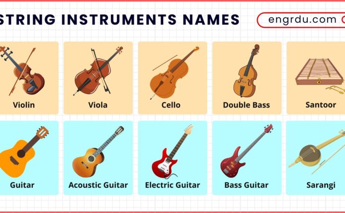 String Instruments Names with Pictures