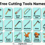 Tree Cutting Tools Names in English