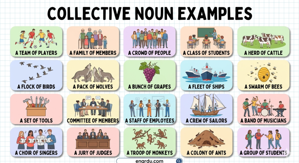 100 Collective Noun Examples