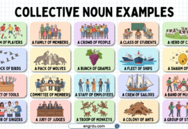 100 Collective Noun Examples