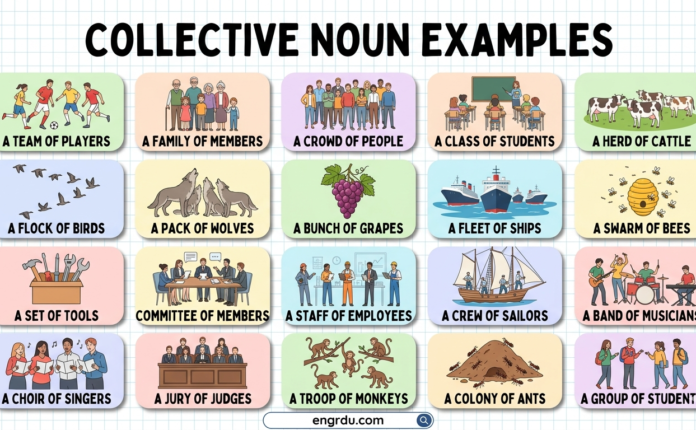 100 Collective Noun Examples