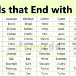 1000+ Words that End with O | All Words Ending in O